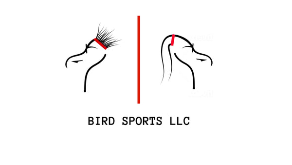 Bird Sports